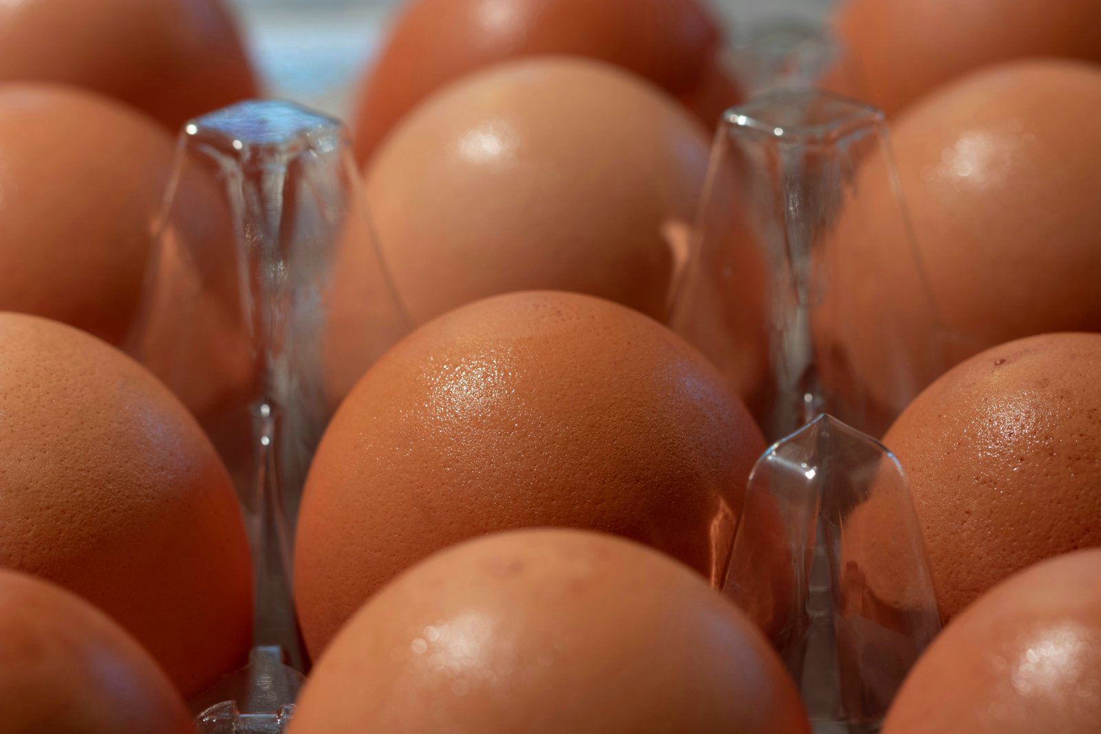 Fresh Eggs